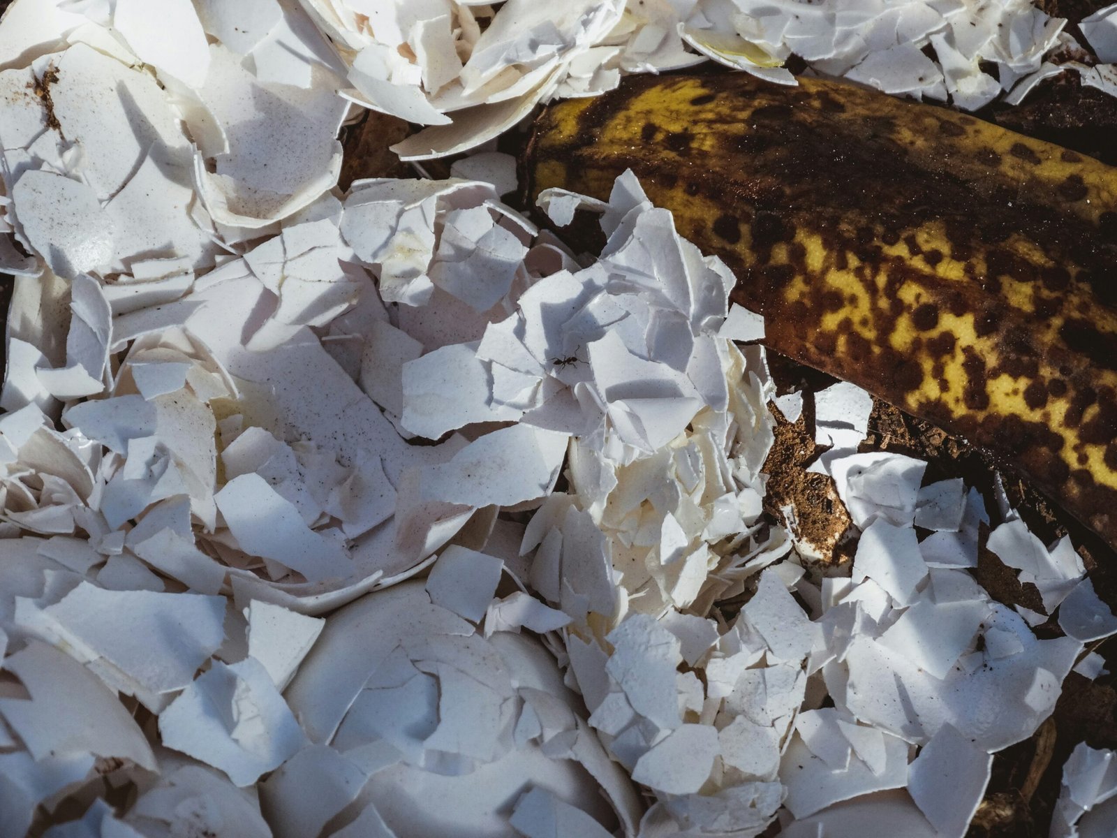 a banana sitting on top of a pile of shredded paper